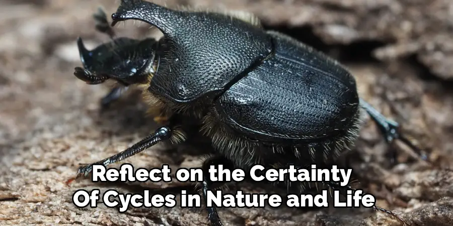 Reflect on the Certainty
Of Cycles in Nature and Life