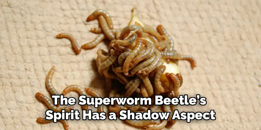 The Superworm Beetle’s
Spirit Has a Shadow Aspect