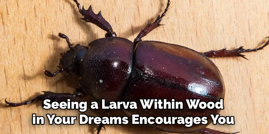 Seeing a Larva Within Wood
 in Your Dreams Encourages You 