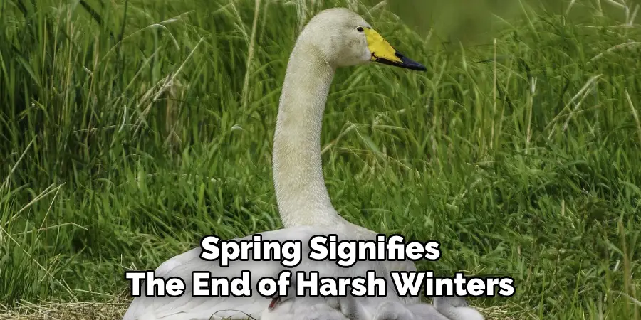 Spring Signifies
The End of Harsh Winters