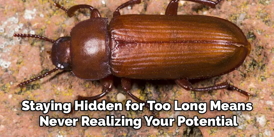 Staying Hidden for Too Long Means
 Never Realizing Your Potential