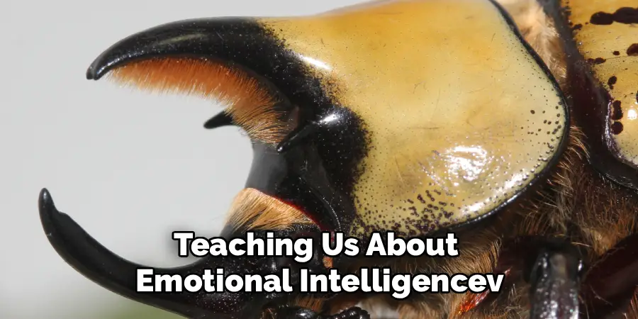 Teaching Us About
Emotional Intelligencev