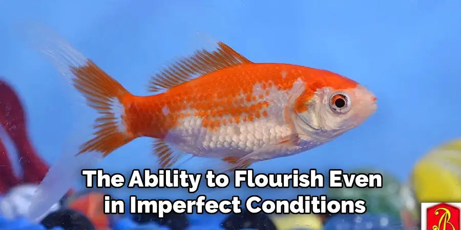 the ability to flourish even in imperfect conditions