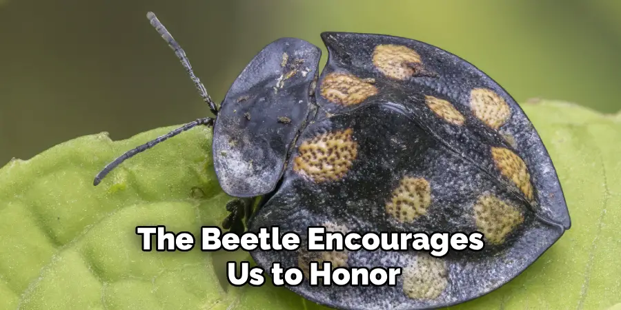 The Beetle Encourages
Us to Honor