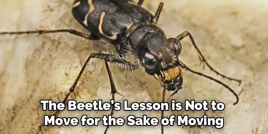The Beetle’s Lesson is Not to
Move for the Sake of Moving