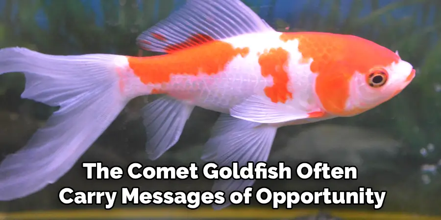 The Comet Goldfish Often
Carry Messages of Opportunity