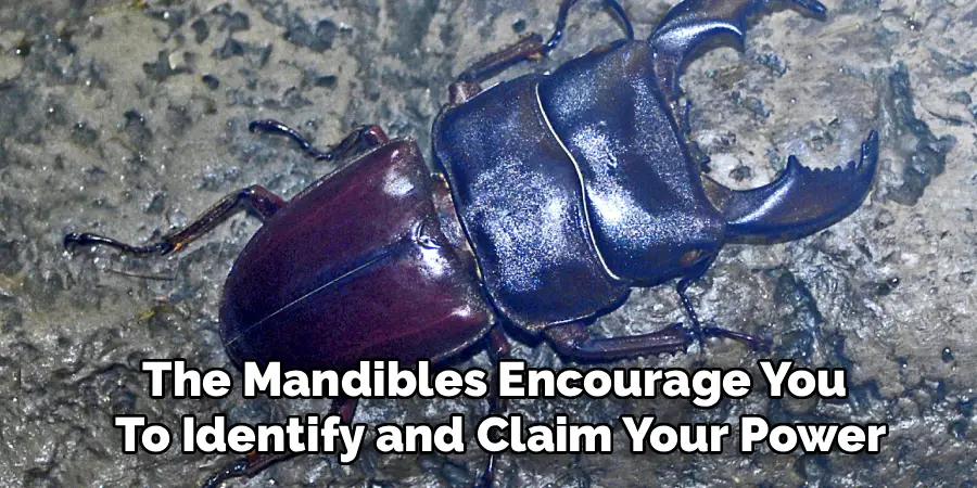 The Mandibles Encourage You 
To Identify and Claim Your Power