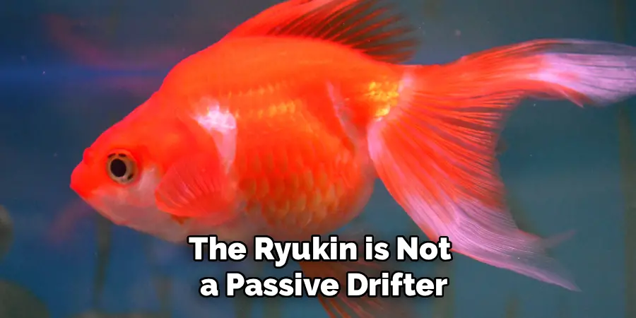 The Ryukin is Not
 a Passive Drifter