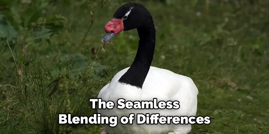 The Seamless
Blending of Differences