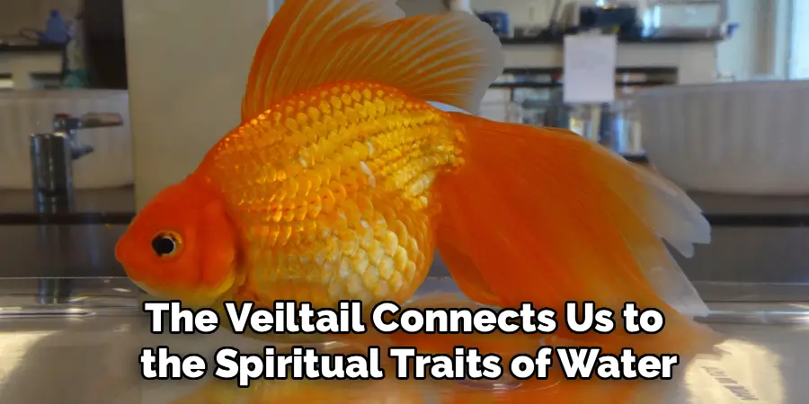 The Veiltail Connects Us to
 the Spiritual Traits of Water