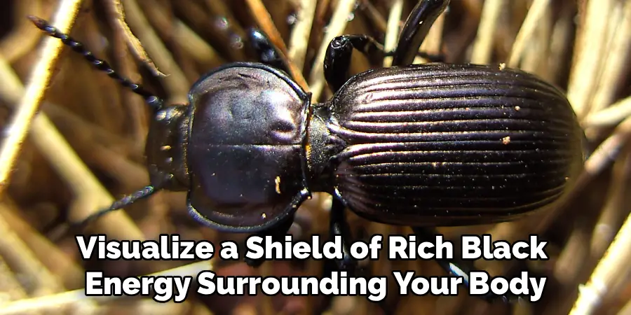 Visualize a Shield of Rich Black
Energy Surrounding Your Body
