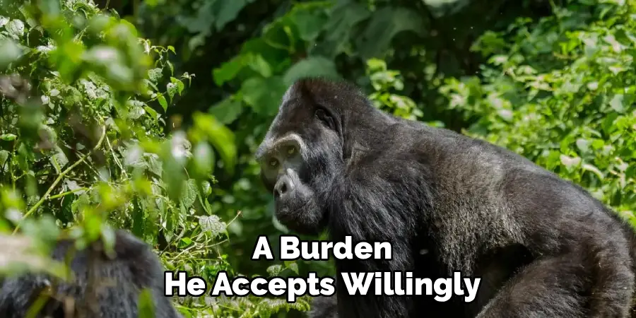 A Burden
He Accepts Willingly