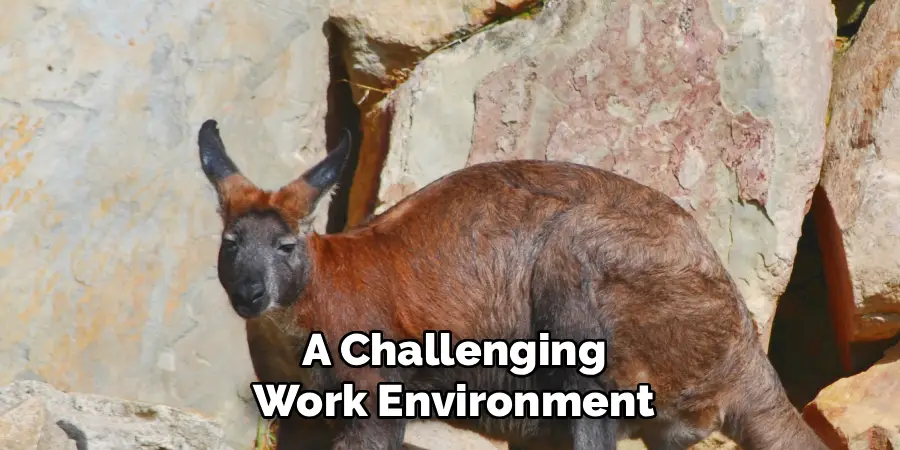 A Challenging Work Environment