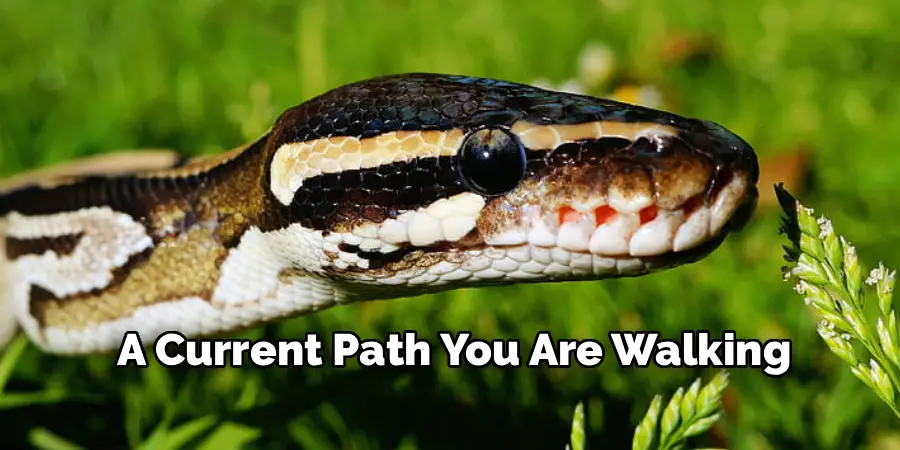 A Current Path You Are Walking