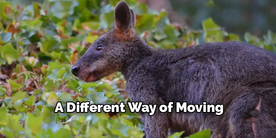 A Different Way of Moving