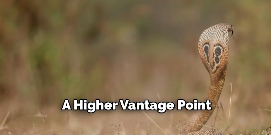 A Higher Vantage Point