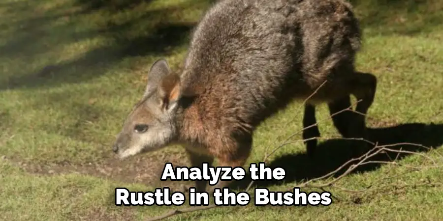 Analyze the
Rustle in the Bushes