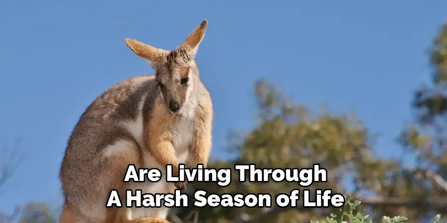 Are Living Through
A Harsh Season of Life