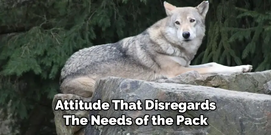 Attitude That Disregards
The Needs of the Pack