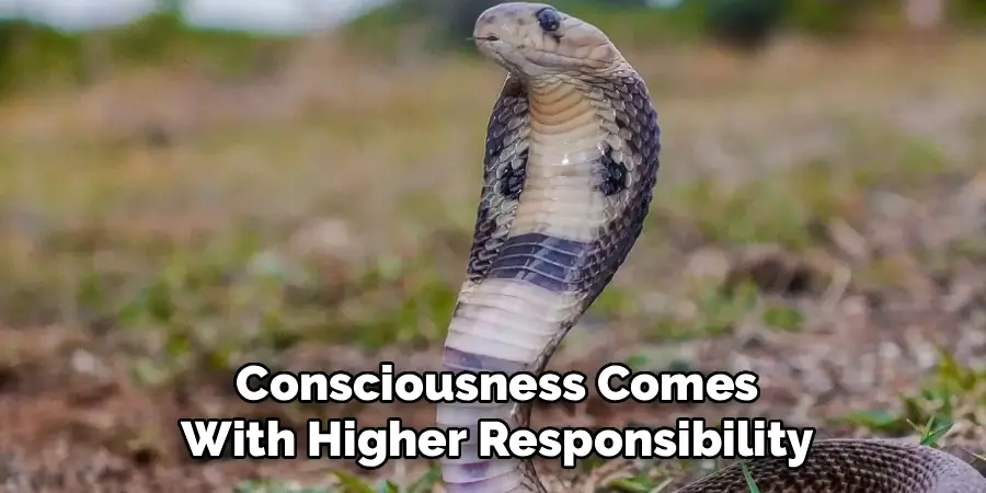 Consciousness Comes
With Higher Responsibility