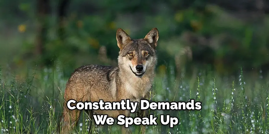 Constantly Demands
We Speak Up