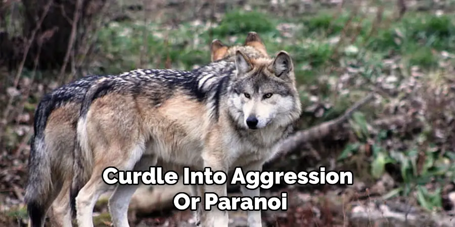 Curdle Into Aggression 
Or Paranoi