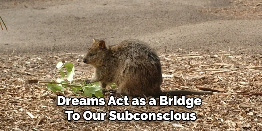 Dreams Act as a Bridge To Our Subconscious
