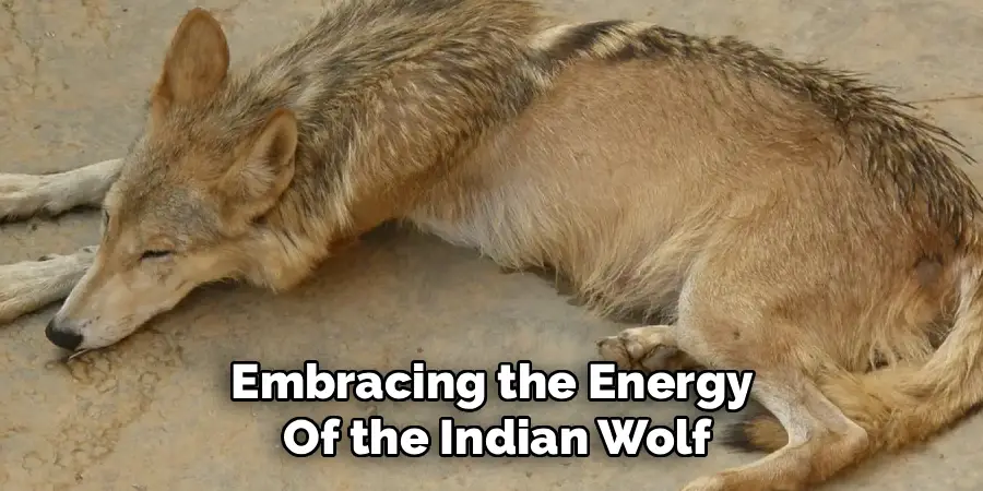 Embracing the Energy Of the Indian Wolf