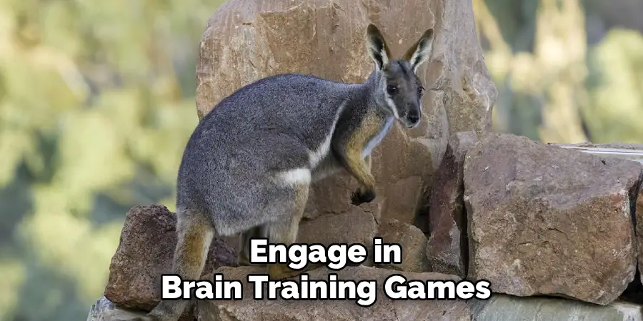 Engage in
Brain Training Games