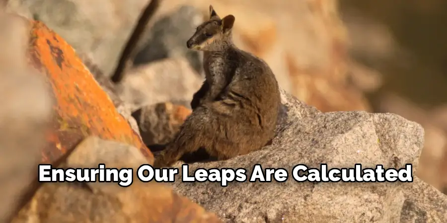 Ensuring Our Leaps Are Calculated