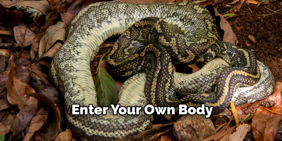 Enter Your Own Body