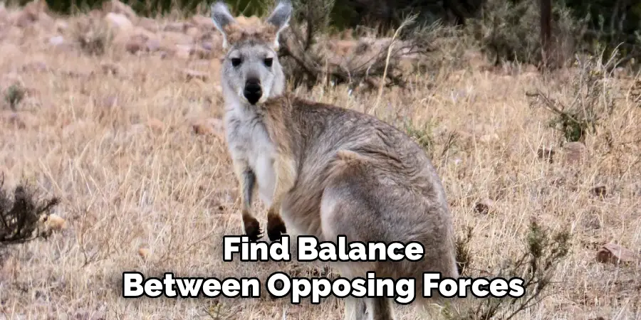 Find Balance
Between Opposing Forces