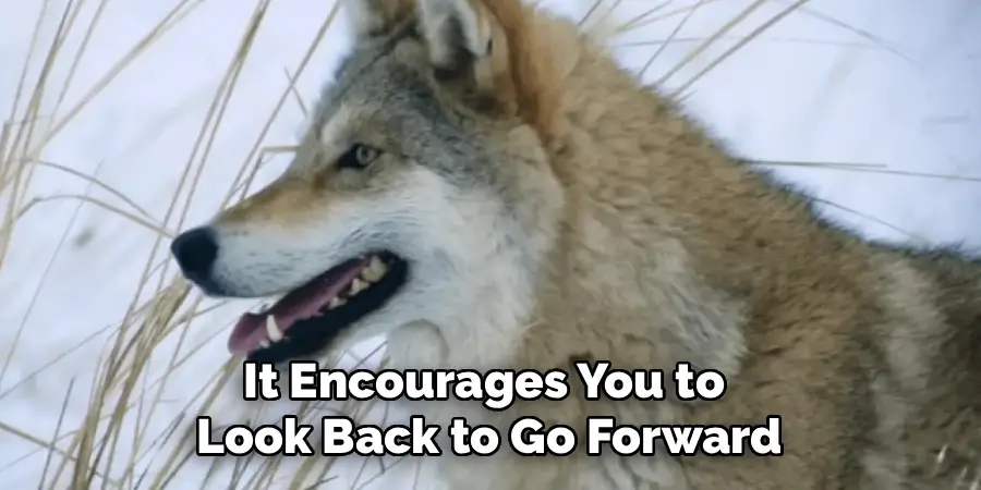It Encourages You to 
Look Back to Go Forward