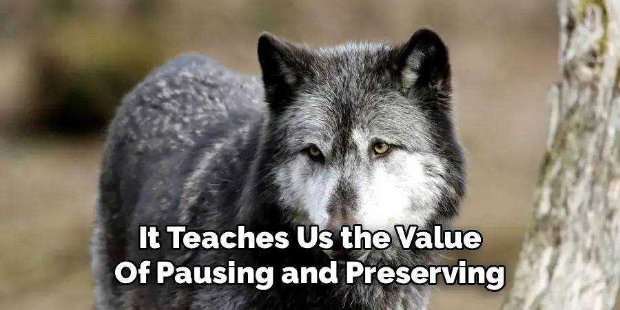 It Teaches Us the Value 
Of Pausing and Preserving