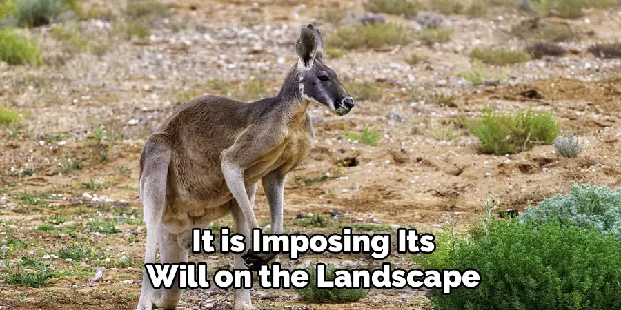 It is Imposing Its
Will on the Landscape