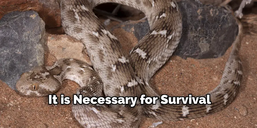 It is Necessary for Survival