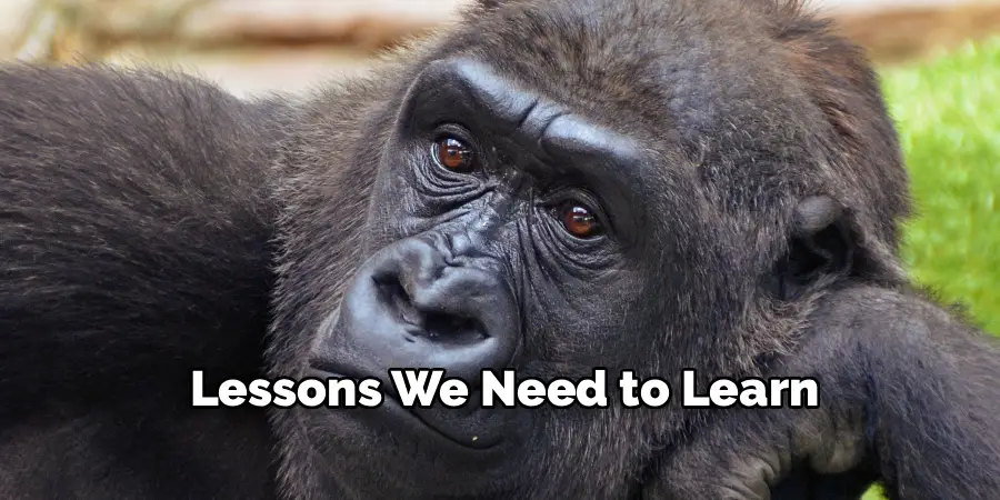 Lessons We Need to Learn