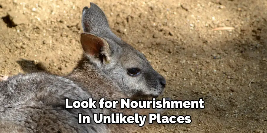 Look for Nourishment
In Unlikely Places