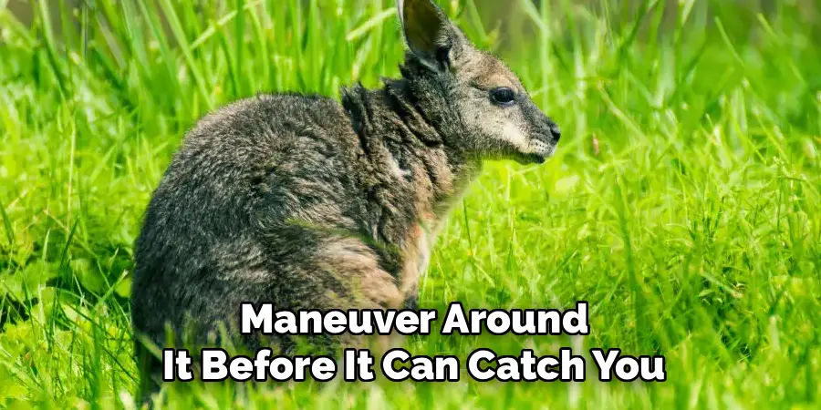 Maneuver Around
It Before It Can Catch You