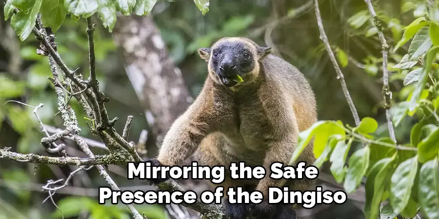 Mirroring the Safe
Presence of the Dingiso