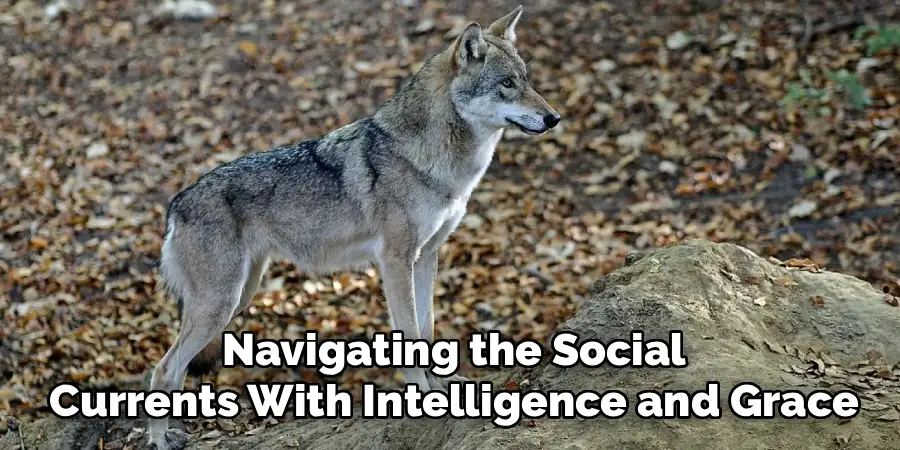 Navigating the Social
Currents With Intelligence and Grace