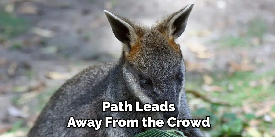 Path Leads
Away From the Crowd