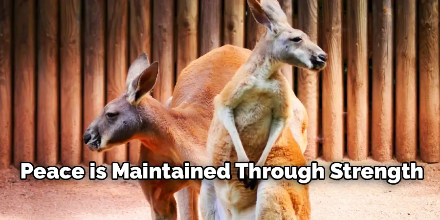 Peace is Maintained Through Strength