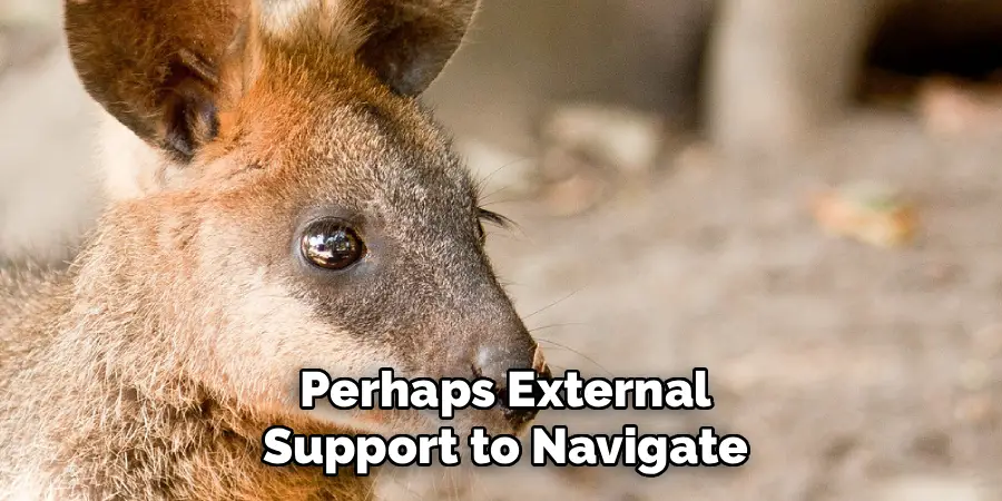 Perhaps External
Support to Navigate
