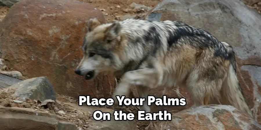 Place Your Palms 
On the Earth
