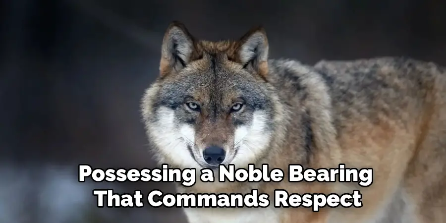 Possessing a Noble Bearing
That Commands Respect