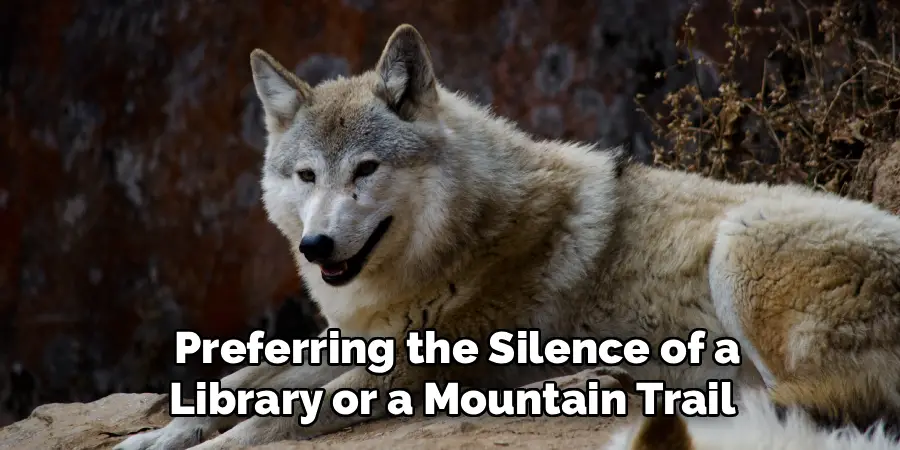Preferring the Silence of a
Library or a Mountain Trail 