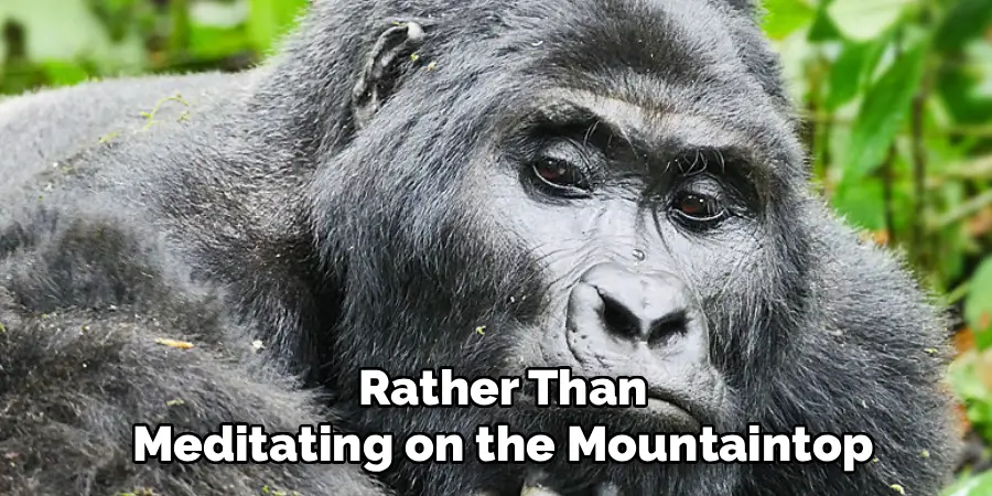 rather than meditating on the mountaintop