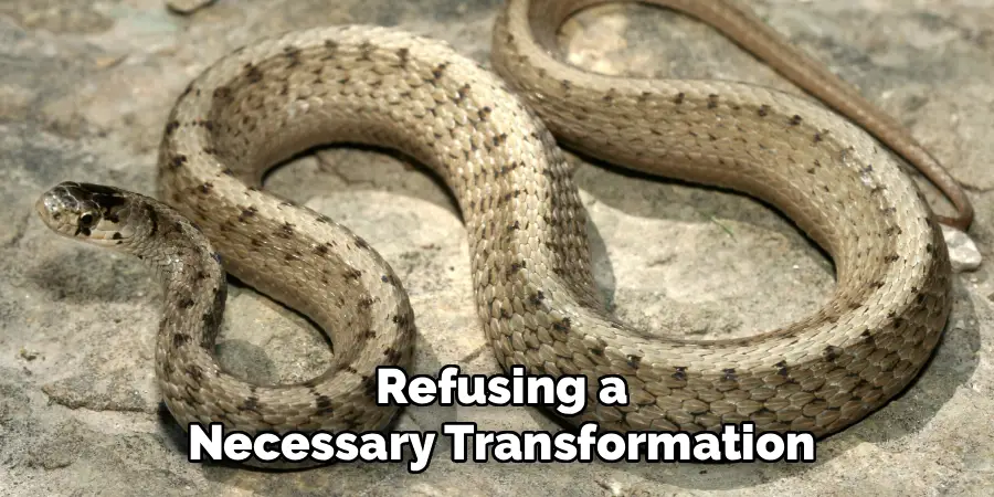 Refusing a
Necessary Transformation