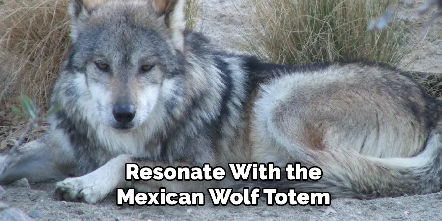 Resonate With the Mexican Wolf Totem